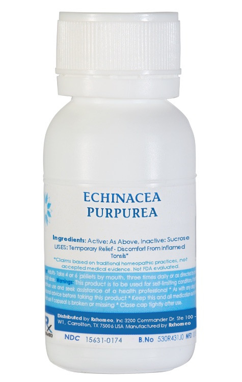Echinacea Purpurea Homeopathic Remedy