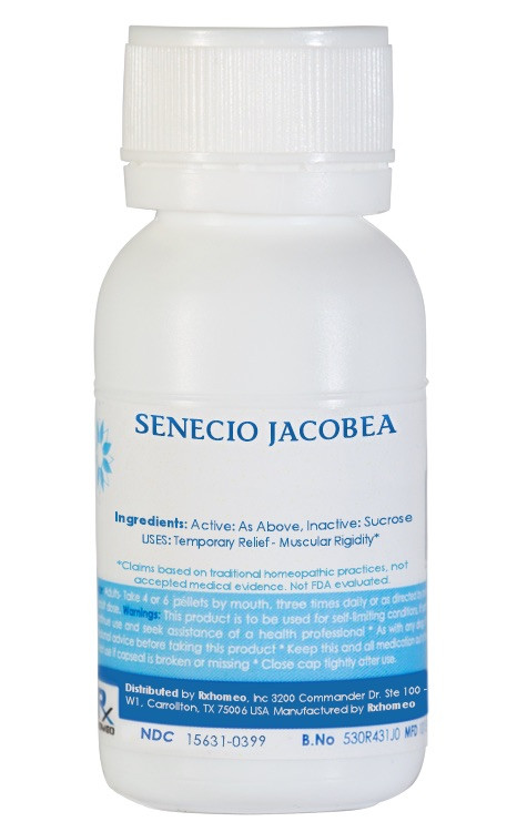 Senecio Jacobaea Homeopathic Remedy